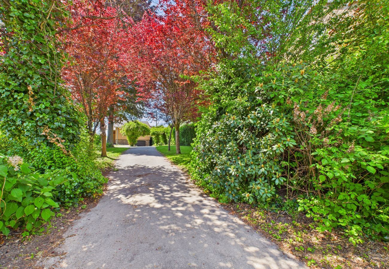 Villa in Bertrix - Step  by  Stef  Today !